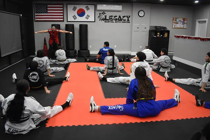 Legacy Martial Arts Center Picture 5