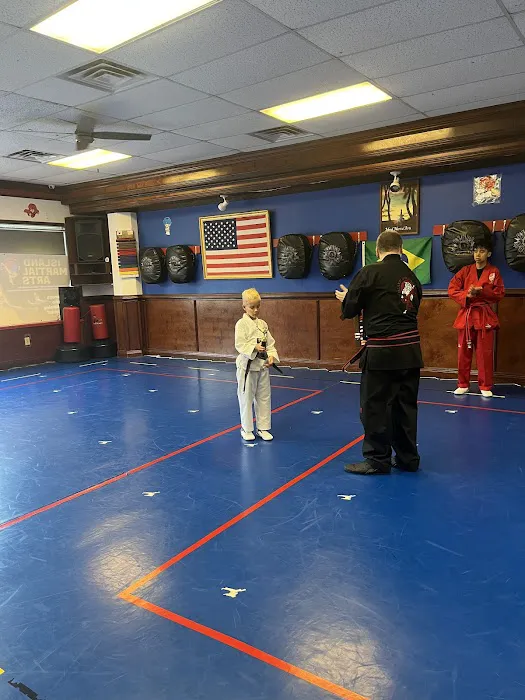 Island Martial Arts Picture 1