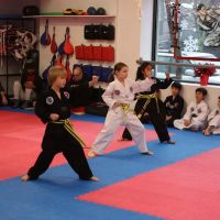 Glen Ridge Taekwon-do ico