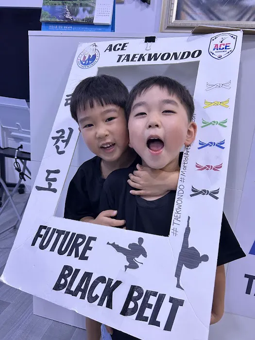 Ace Taekwondo Picture 1