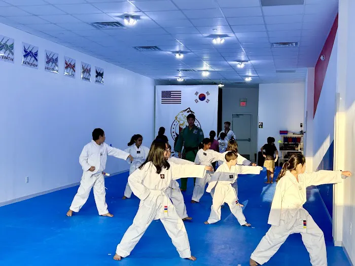 Ace Taekwondo Picture 5