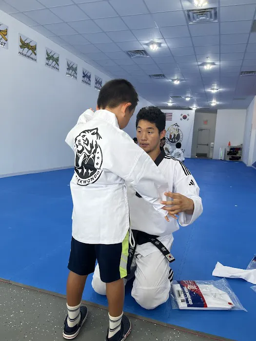 Ace Taekwondo Picture 3