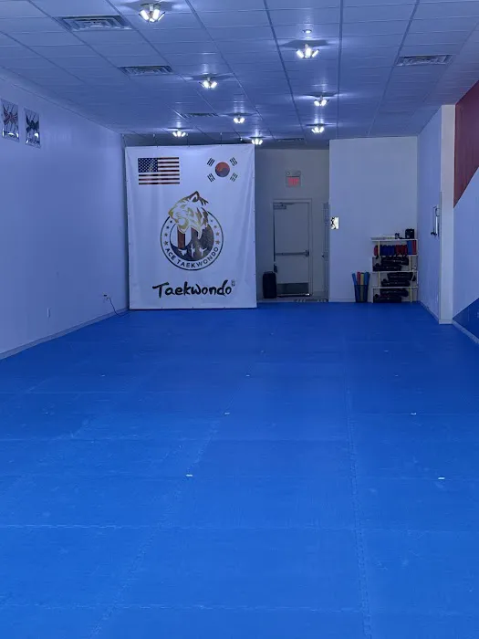 Ace Taekwondo Picture 4