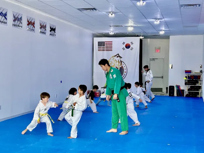 Ace Taekwondo Picture 8