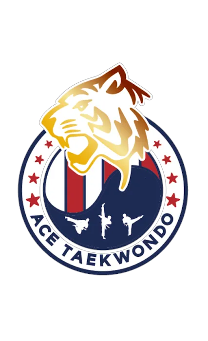 Ace Taekwondo Picture 6