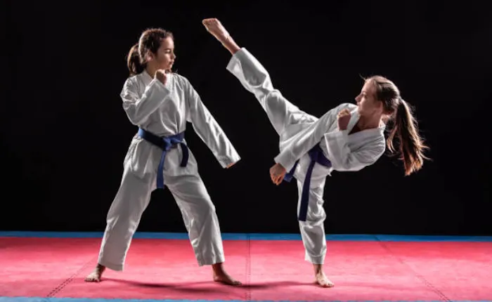 Ace Taekwondo Picture 10