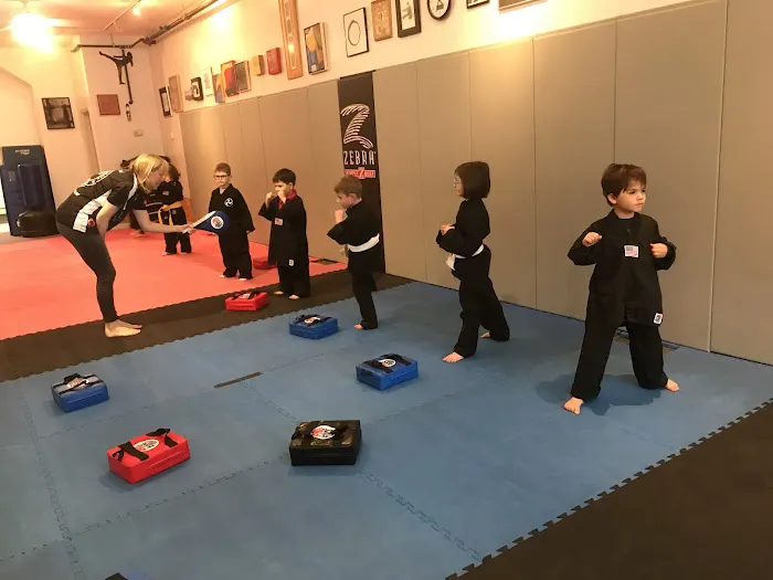 Master Toledo's Japanese Karate Picture 3