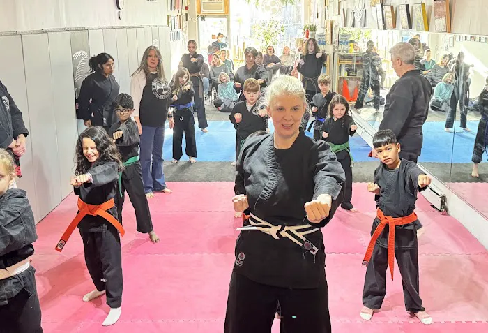 Master Toledo's Japanese Karate Picture 7