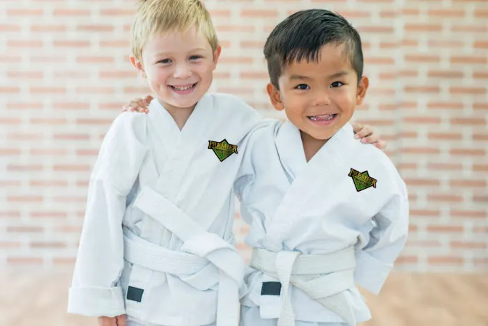 Premier Martial Arts (1585 Springfield Ave, Maplewood) Picture 3