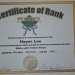 Premier Martial Arts (1585 Springfield Ave, Maplewood)