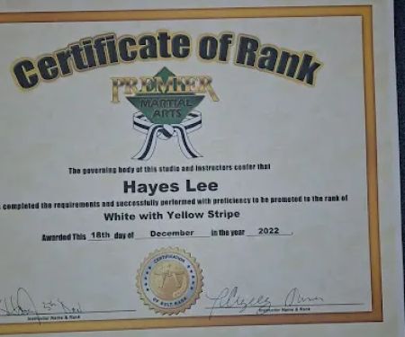 Premier Martial Arts (1585 Springfield Ave, Maplewood)