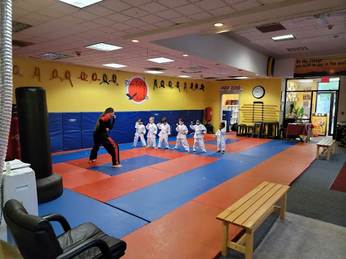Blue Life Karate & Kickboxing Centers Picture 4