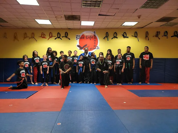 Blue Life Karate & Kickboxing Centers Picture 5
