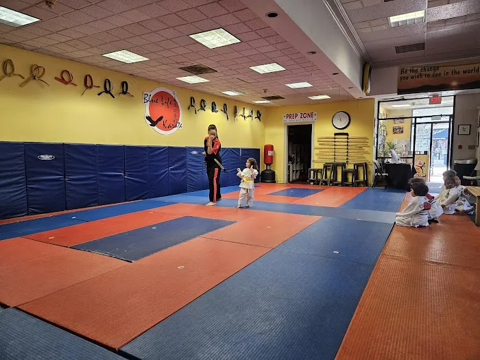 Blue Life Karate & Kickboxing Centers Picture 9