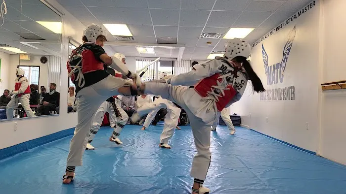 Martial Arts Training Center Picture 9