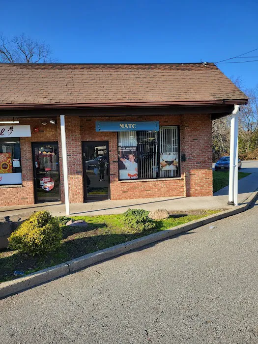 Martial Arts Training Center Picture 10