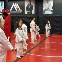 AllStar Martial Arts – Kids, BJJ, Muay Thai & Self Defense in Union NJ ico