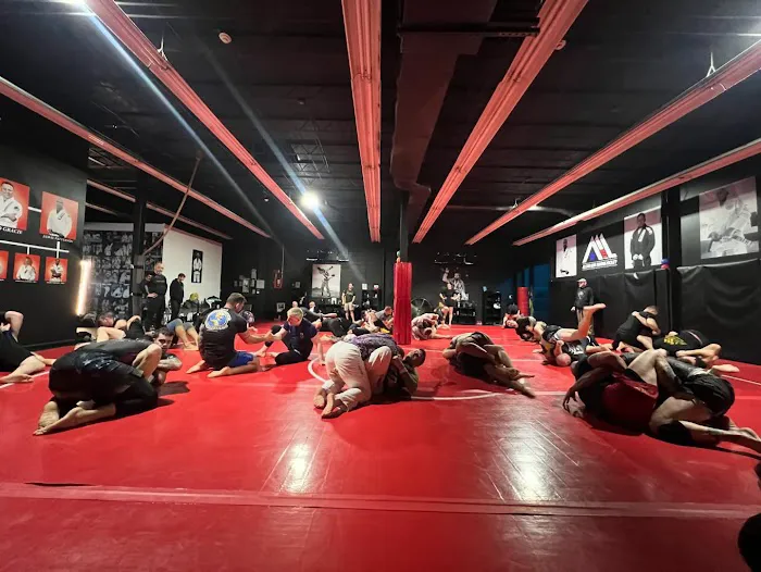 AllStar Martial Arts – Kids, BJJ, Muay Thai & Self Defense in Union NJ Picture 8