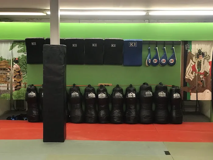 Enshin Karate School of NJ Picture 3