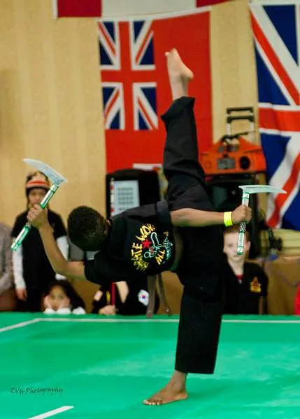 Karate World Picture 2