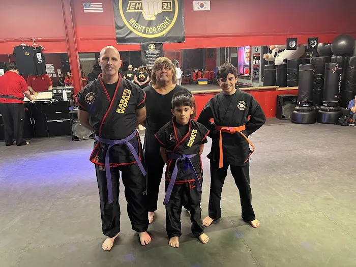 Karate World Picture 6