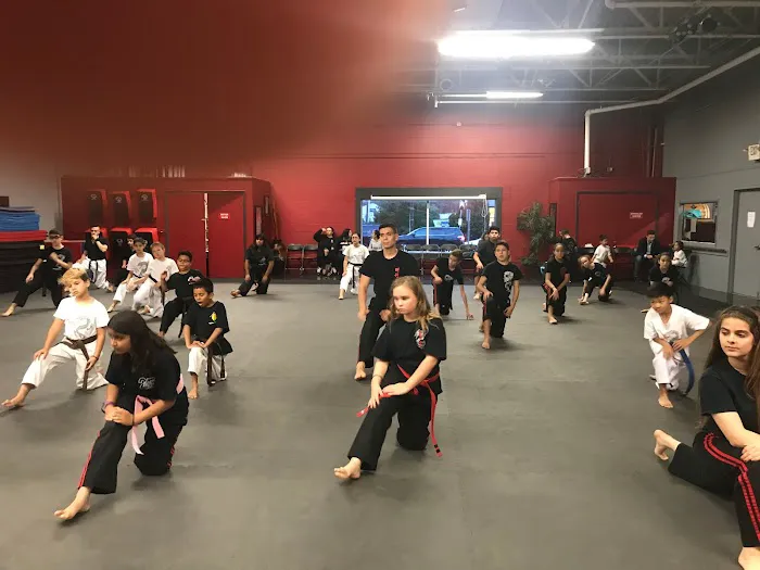 Karate World Picture 10