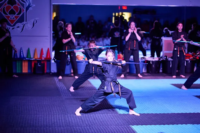 Twin Kicks Karate Picture 4
