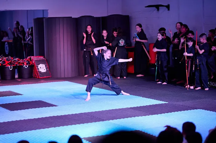 Twin Kicks Karate Picture 3