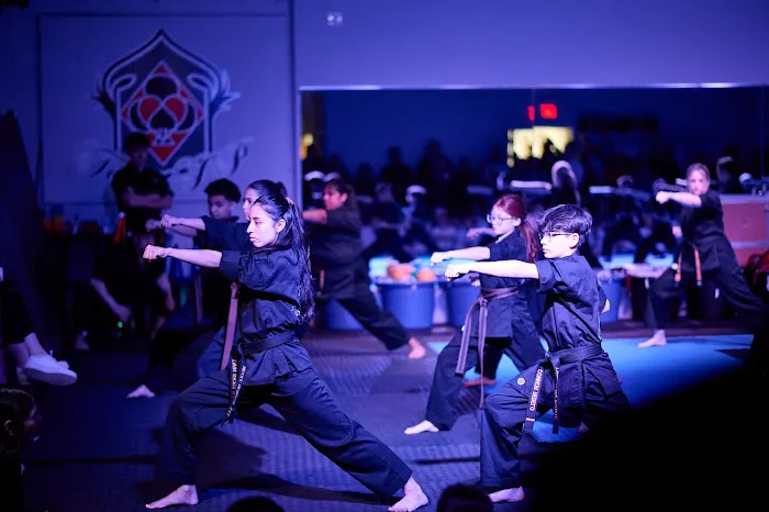 Twin Kicks Karate Picture 5