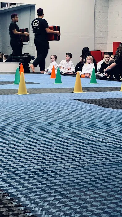 Twin Kicks Karate Picture 8