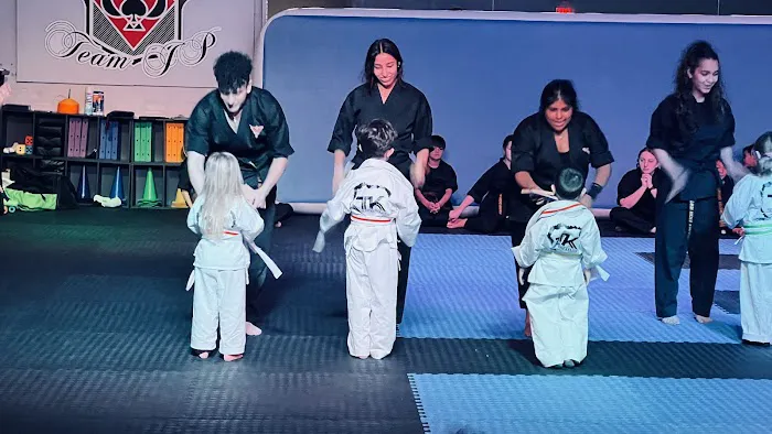 Twin Kicks Karate Picture 9