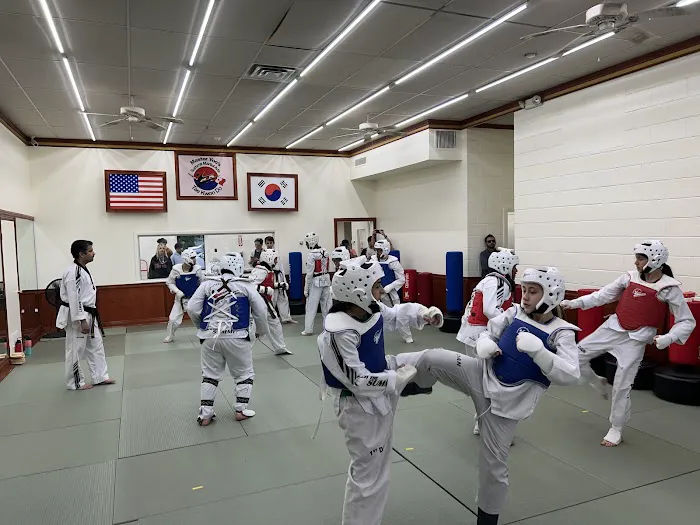 Master Yoo's Summit Martial Art Taekwondo Picture 2