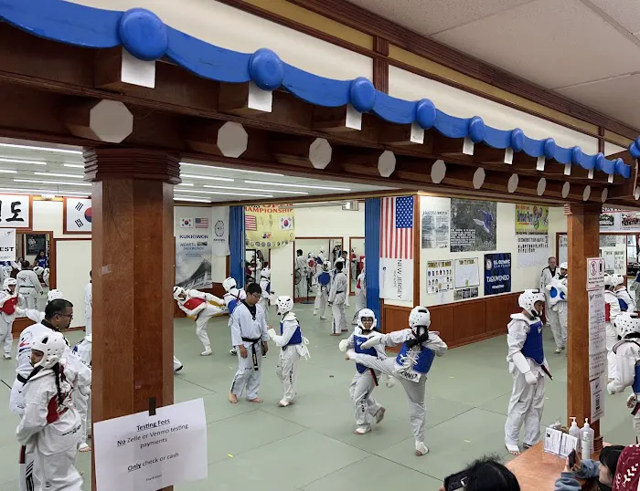 Master Yoo's Summit Martial Art Taekwondo Picture 10