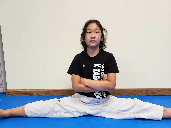 World Champion's K Taekwondo Picture 1