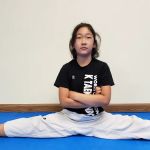 World Champion's K Taekwondo
