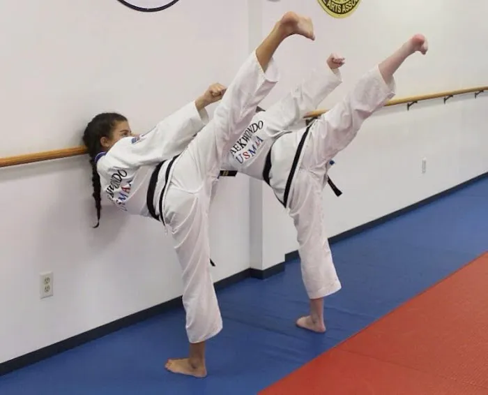 Martial Arts America Picture 6