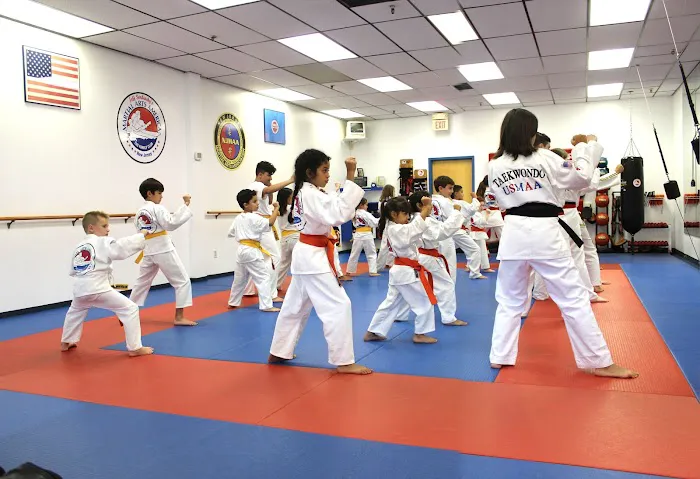 Martial Arts America Picture 9