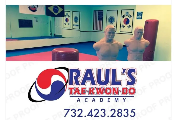 Woodbrige Club of Martial Arts Raul's Tae Kwon Do Picture 1
