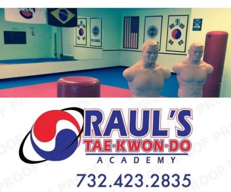 Woodbrige Club of Martial Arts Raul's Tae Kwon Do