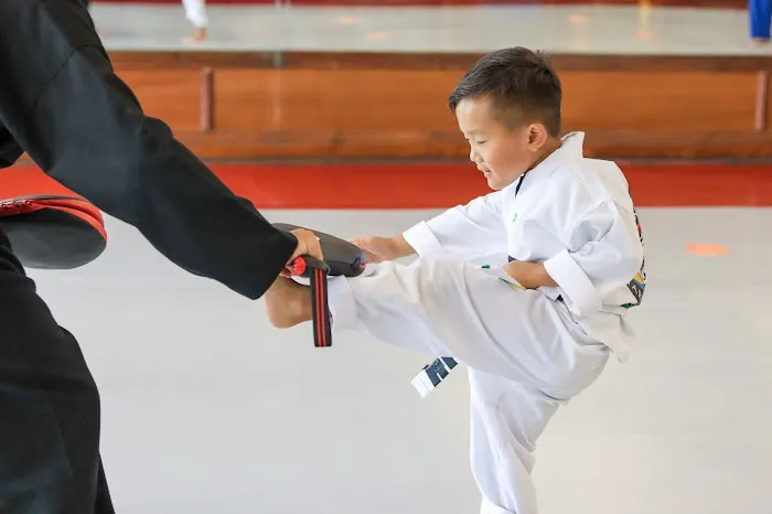 Black Belt America Hazlet | Tae Kwon Do & Martial Arts Picture 6