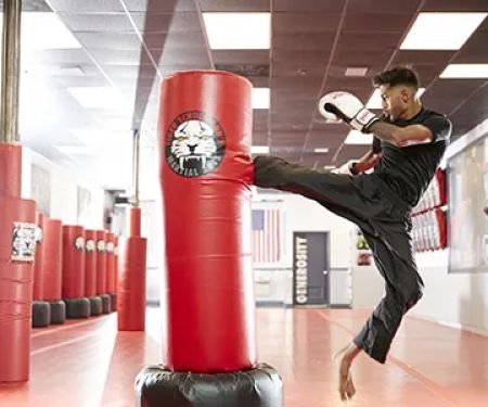 Tiger Schulmann's Martial Arts (Tottenville, Staten Island NY)