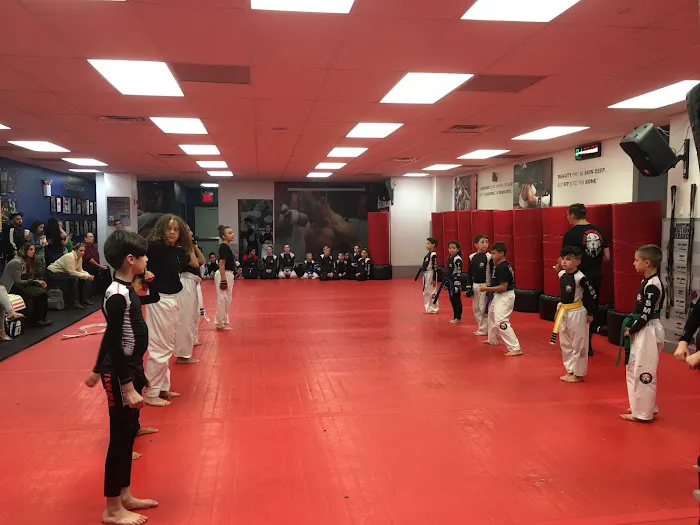 Tiger Schulmann's Martial Arts (Tottenville, Staten Island NY) Picture 4