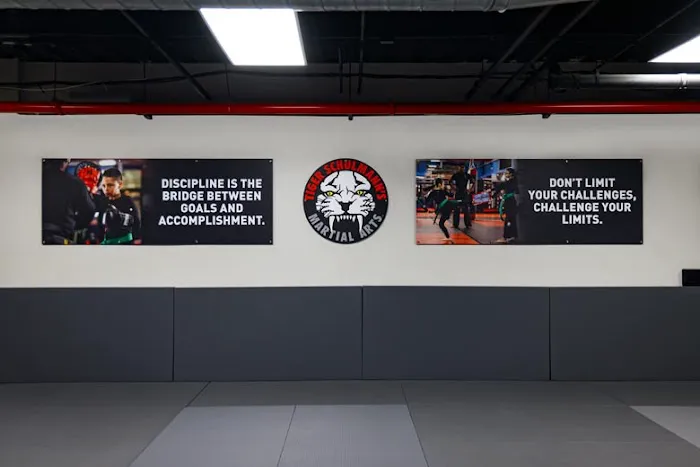 Tiger Schulmann's Martial Arts (Tottenville, Staten Island NY) Picture 6
