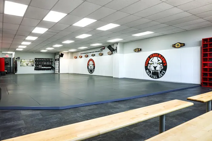 Tiger Schulmann's Martial Arts (Tottenville, Staten Island NY) Picture 5