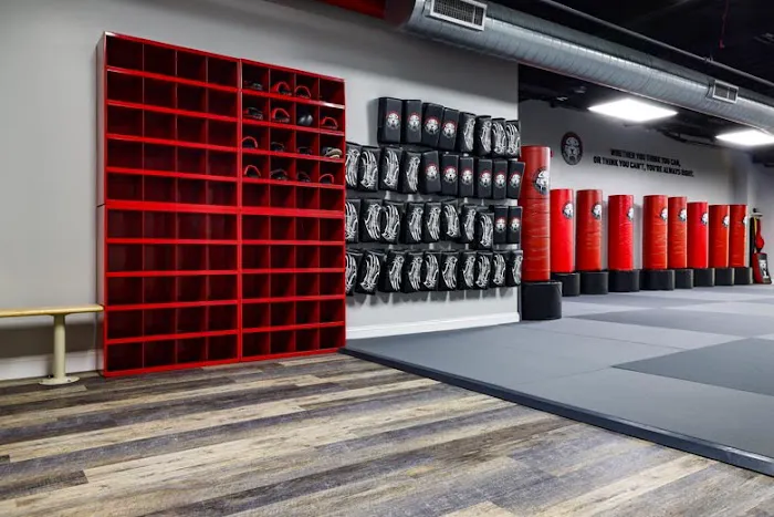 Tiger Schulmann's Martial Arts (Tottenville, Staten Island NY) Picture 9