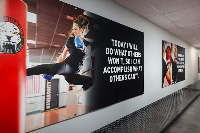 Tiger Schulmann's Martial Arts (Tottenville, Staten Island NY) Picture 8