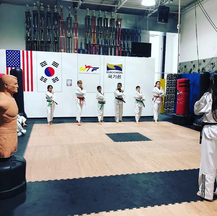 Tigers Martial Arts Academy - TMAA Picture 5