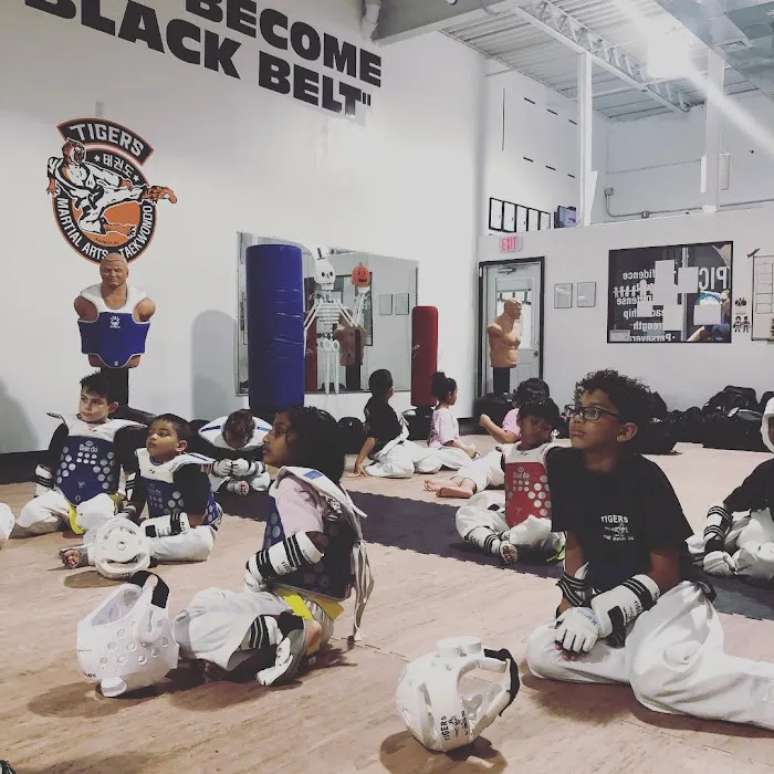 Tigers Martial Arts Academy - TMAA Picture 6