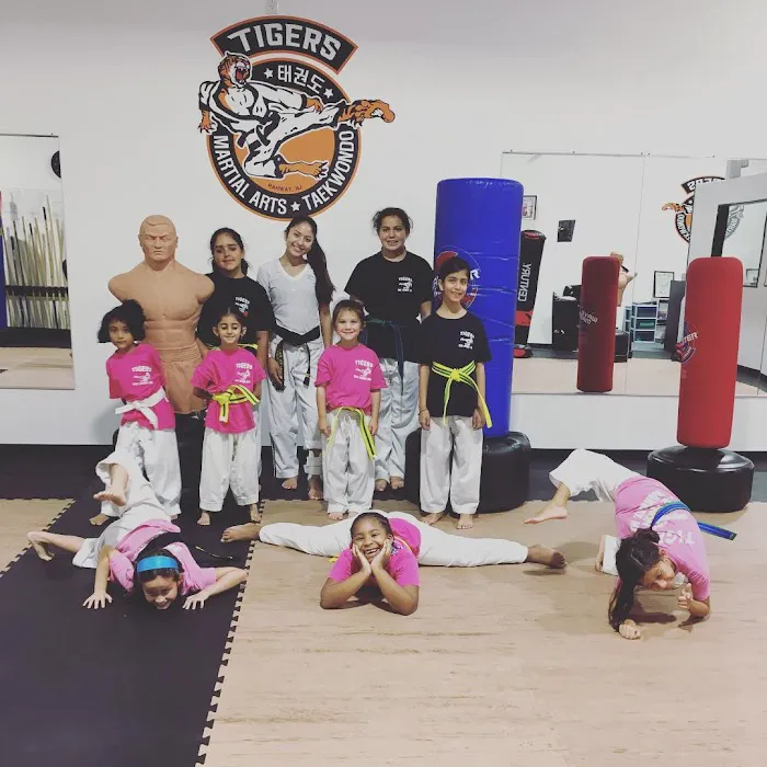 Tigers Martial Arts Academy - TMAA Picture 7