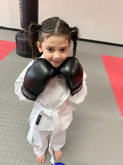 Kickboxing Plus Taekwondo Academy Picture 2